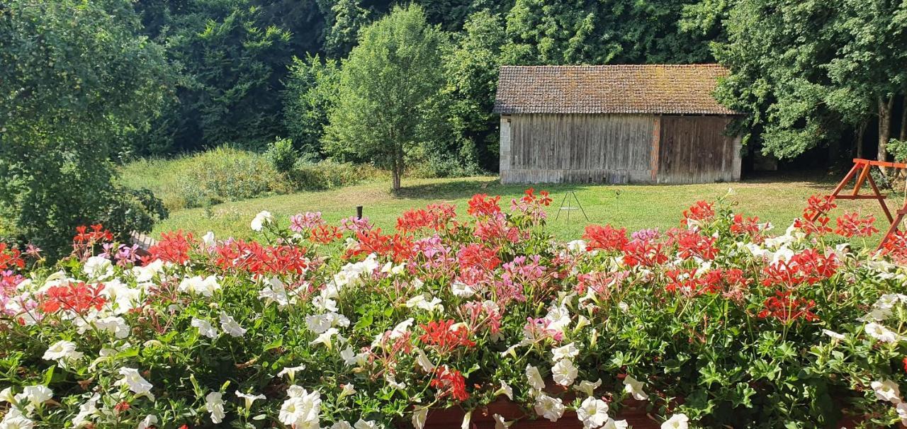 Gasthaus Zum Schneider พอทเทนชไตน์ ภายนอก รูปภาพ