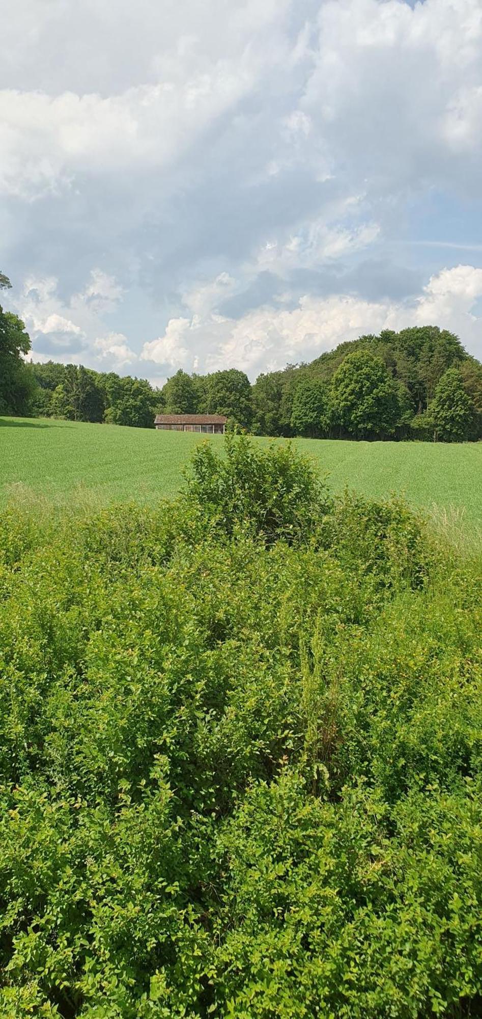Gasthaus Zum Schneider พอทเทนชไตน์ ภายนอก รูปภาพ